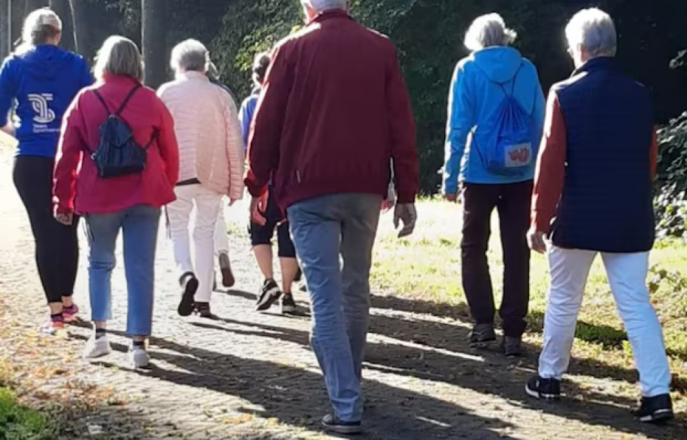 Ondersteunende wandelvrijwilliger